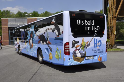 Bild vom Pingobus links hinten