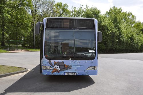 Bild vom Pingobus von vorne